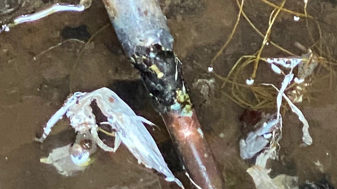 Canalisation cuivre enterrée corrodée après le compteur d'eau, fuite localisée par La Tuyauterie Française en Île-de-France
