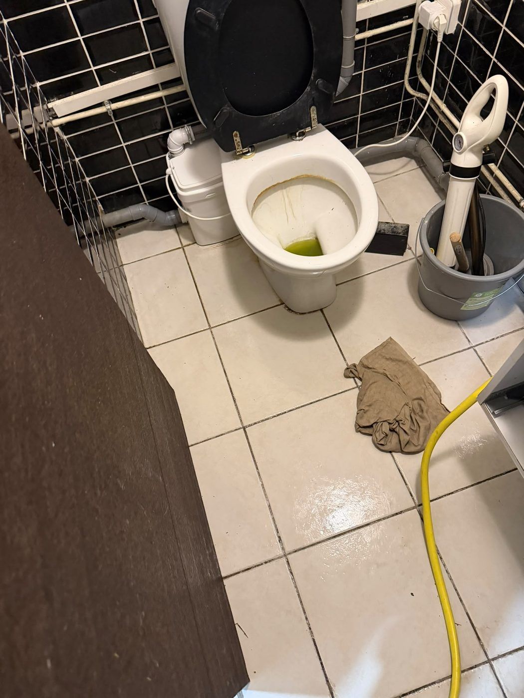 WC broyeur après débouchage, pompe à déboucher professionnelle