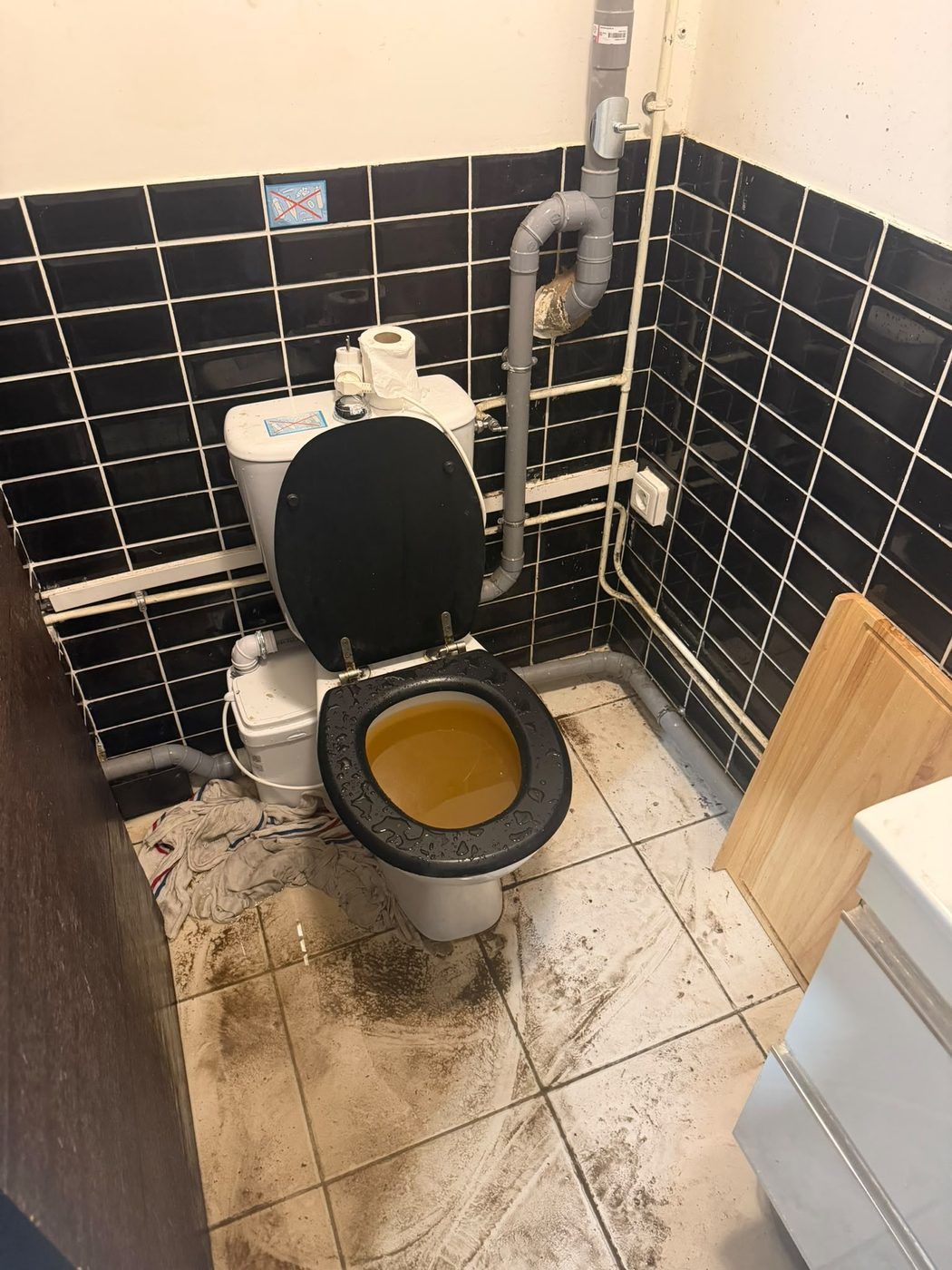 WC broyeur saturé avec eau stagnante dans la cuvette